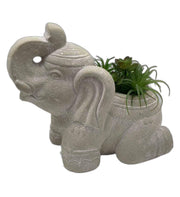 Elephant Indoor or Outdoor Planter  - Home Decor & Things Are Us