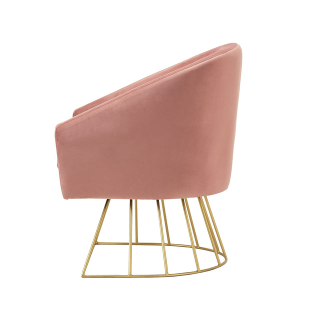 Blush And Gold Velvet Barrel Chair