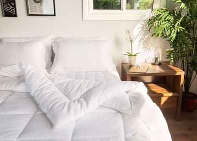 Signature Home Cotton Stripe Comforter, King - Home Décor & Things Are Us
