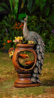 Peacock Water Fountain with LED Lighting - Home Décor & Things Are Us