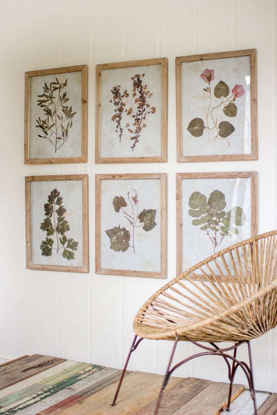 Leaf Prints Under Glass Framed Art - Set of 6 - Home Décor & Things Are Us