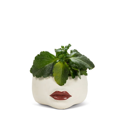 7 in. Low Lip Planter, Ivory & Red - Home Décor & Things Are Us