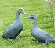 Lucky Duckies Garden Pair Statues - Home Décor & Things Are Us