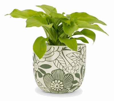 Hippie Flower Planter, Ivory & Green - Home Décor & Things Are Us
