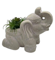 Elephant Indoor or Outdoor Planter - Home Décor & Things Are Us