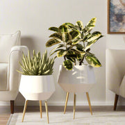 Huxley Mid Century Modern Planters, White - Set of 2 - Home Décor & Things Are Us