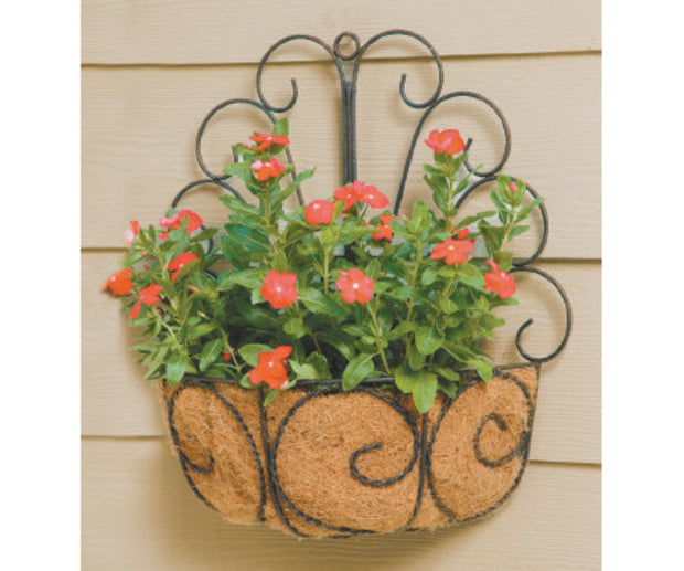 Metal Peacock Wall Basket with Coco Liner - Home Décor & Things Are Us