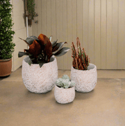 Set of 3 Round Cement Planters – Beige & Golden - Home Décor & Things Are Us