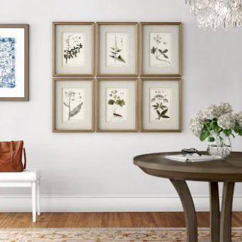 Green Floral Botanical Study Prints Set of 6