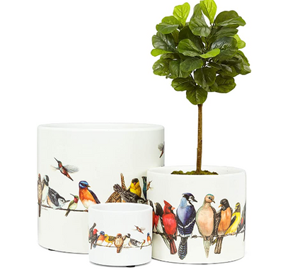 Birds on Wire Planter - Home Décor & Things Are Us